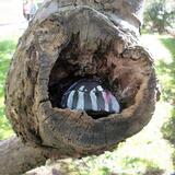 Land Art Project 2019 