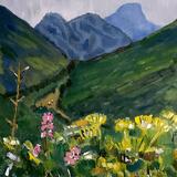 Fireweed in the Chugach Mountains