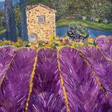 French Lavender Field
