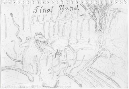 Opossum's Final Stand