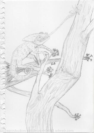 Chameleon's Luncheon