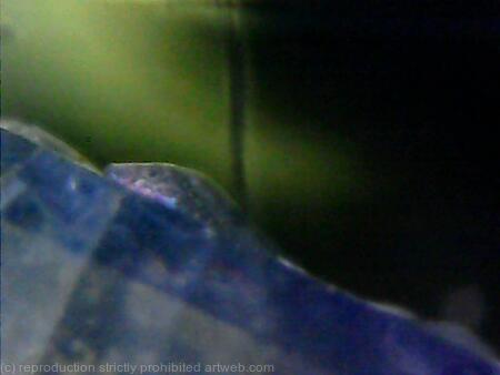 Translucent Lizard Dark