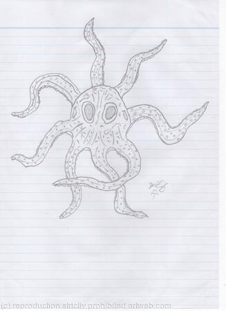 Octopus
