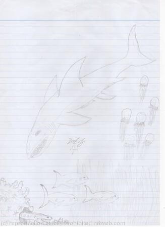 Down Around the Coral and Kelp