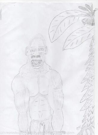 Under A Banana Plant