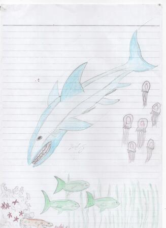 Down Around the Coral and Kelp colour