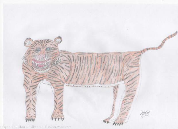 Turning Tiger colour