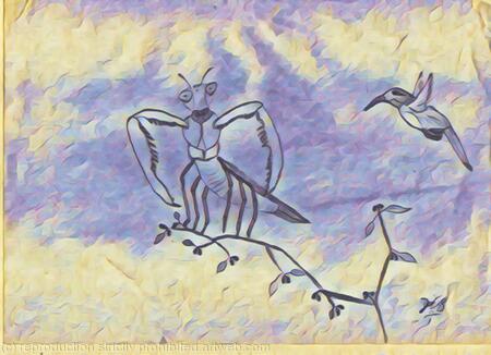 Praying Mantis and Hummingbird alt2