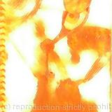 Between sun and moon alt2