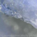 Crystal Snake Head Highly Lit