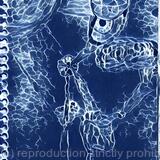 Between Sun and Moon filter 3