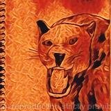 Nature is watching alt 1