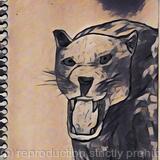 Nature is watching alt2