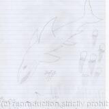 Down Around the Coral and Kelp