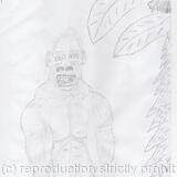 Under A Banana Plant