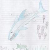 Down Around the Coral and Kelp colour