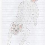 Feline agility colour