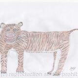 Turning Tiger colour