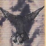 Alighting Eagle alt1