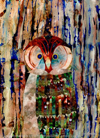 Wise Owl?