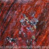 Red Fox at Night.......