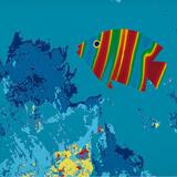 Tropical Fish 1
