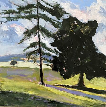 Two Evergreens In Spring 