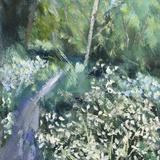 Woodland Walk