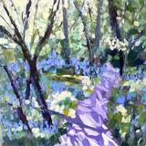 Dappled Sunlight and Bluebells