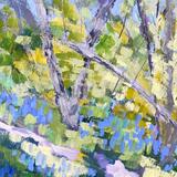 Dappled Path and Bluebells