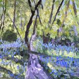 Bluebell Path