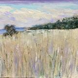 Early Morning Beach Grasses, October 