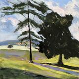 Two Evergreens In Spring 