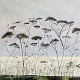 November Light And Grasses