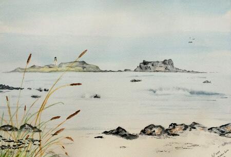 Fidra from Yellowcraig