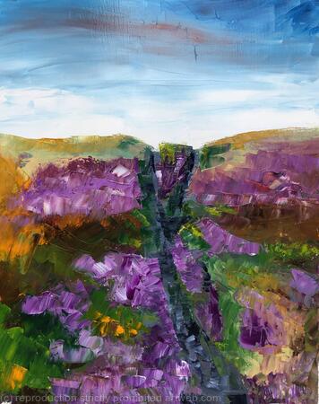 Heather on the Cleveland Way