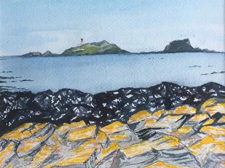 Fidra Black and Yellow