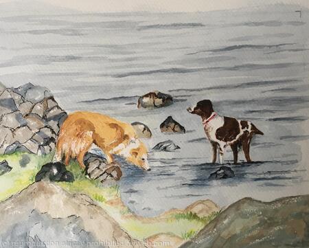 Lucy & Rosie on the C2C walk