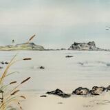 Fidra from Yellowcraig