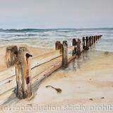 Alnmouth Northumberland