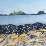 Fidra Black and Yellow