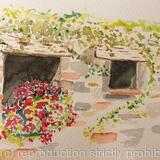 Flowers at Lodole country house Italy.