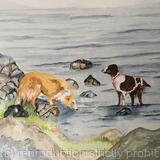 Lucy & Rosie on the C2C walk