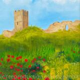Richmond Castle from Cockpit Garden 'Poppies'