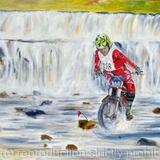 Scott Trial, Orgate Force Swaledale