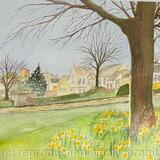 Daffs near the old school