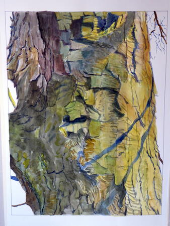 Tree study