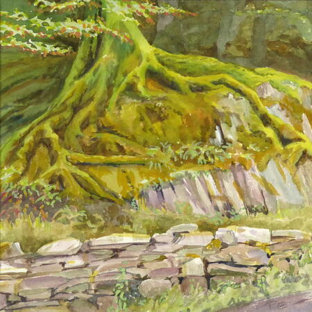 Forest edge, Rydal - study
