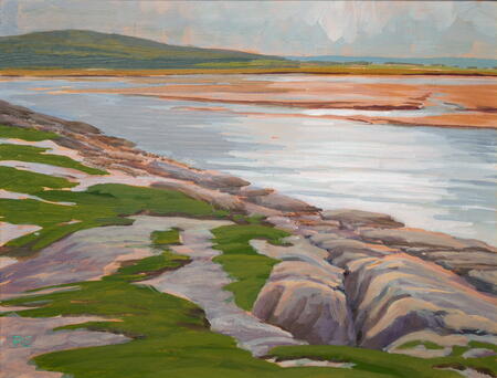 Limestone shore, Silverdale