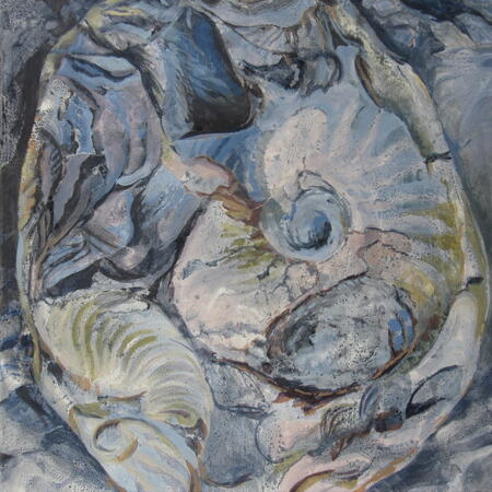 Fossils, Port Mulgrave